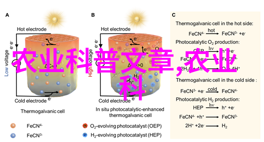 饲料资讯我是怎么知道我的宠物狗要吃什么好呢