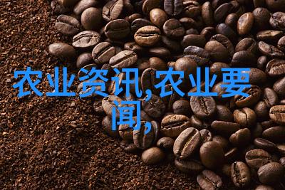 宠物友好如何为宠物安全地创建一个共享的室外空间