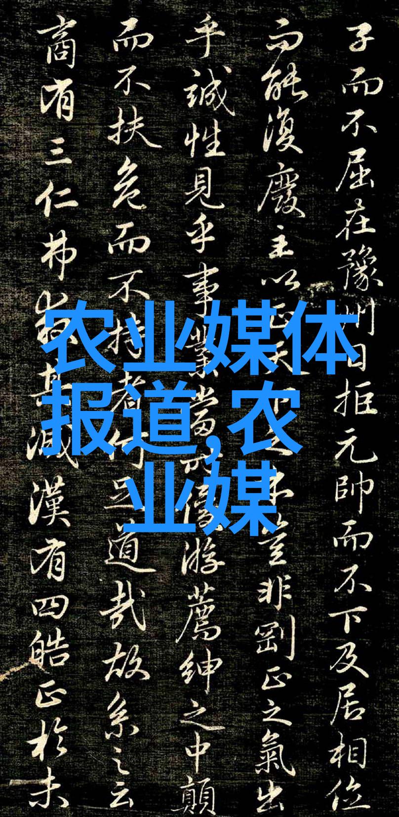 金黄丰收玉米种子的生长秘密与栽培技巧