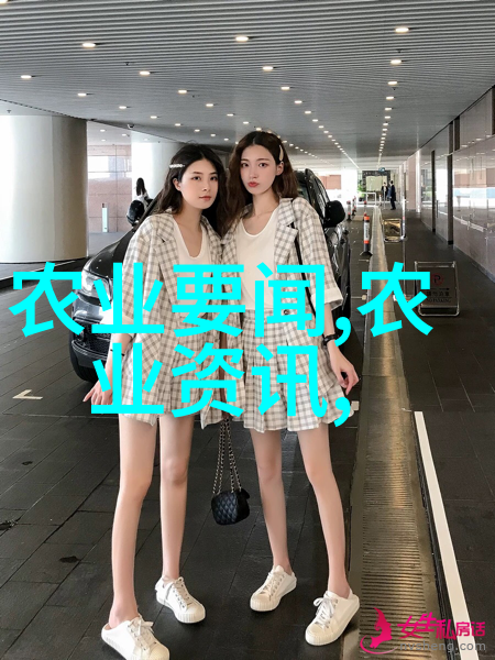 牧业实践前置知识探究养羊入门指南