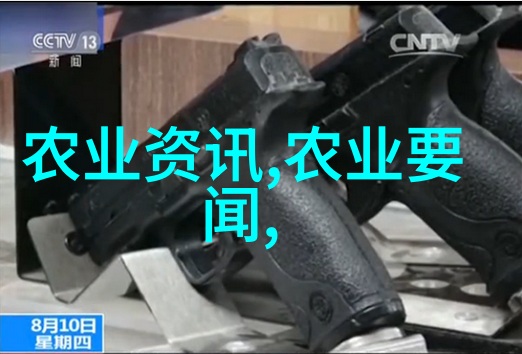 蜂舞之韵中蜂的翅膀与梦想