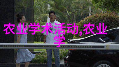 蜂箱大师揭秘中蜂最爱的黄金尺寸