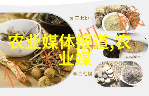 多年生草本花卉种类介绍美丽的自然园艺