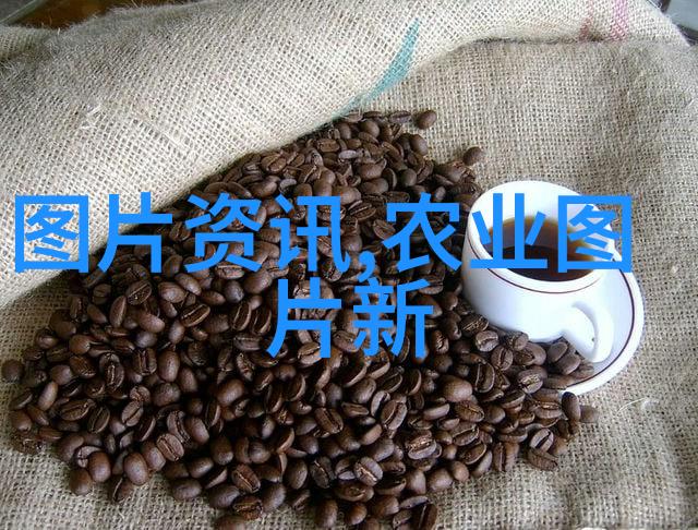 预计2022年涨价的药材市场动态与影响分析