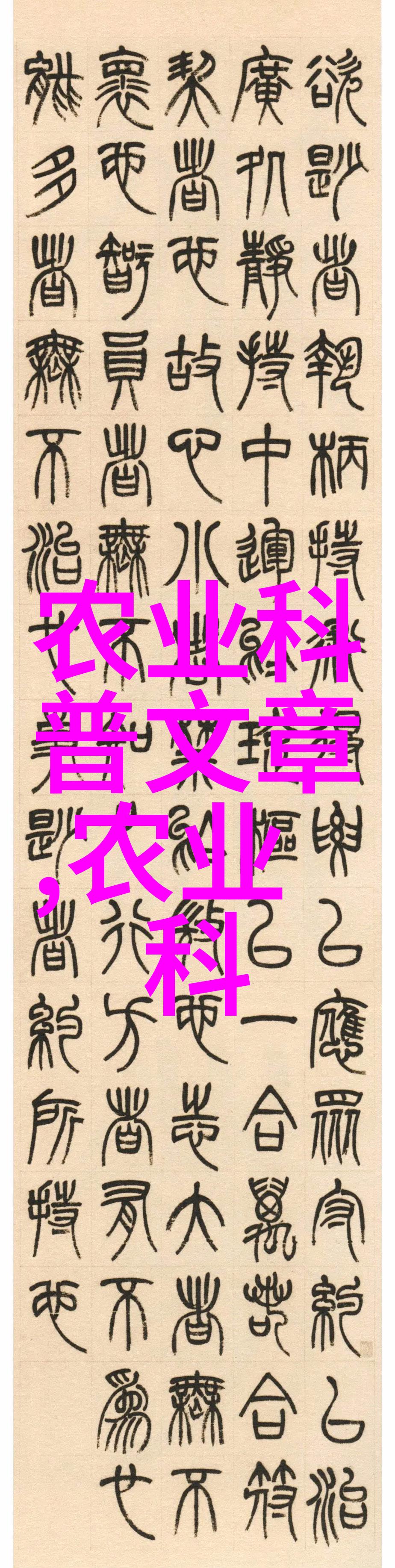 农村养殖什么好养又好卖露薇花种植与方法