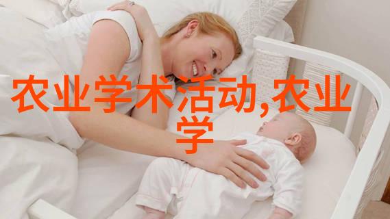 包装设备我是怎么搞定的那些复杂的快递包装