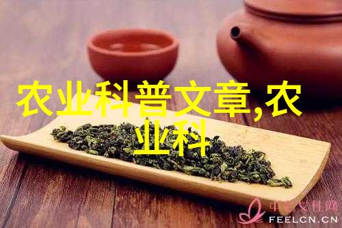 阳台上种植的10个美味又美观水果推荐