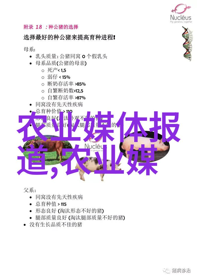 金线莲回收公司我来告诉你一个好消息你的旧家具不再是垃圾了