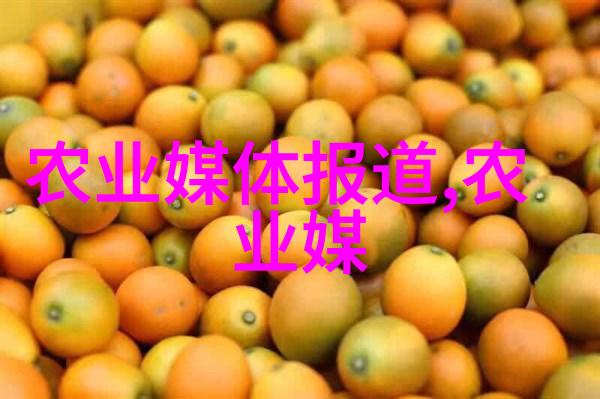 探秘蜜蜂世界解锁自然界中的劳动英雄们