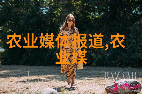 心灵深处的较量揭开心战的面纱