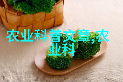 如何查询个人农机补贴我的步骤和经验分享