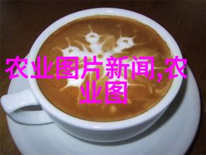 绿色健康水果蔬菜批发网带给你的生活改善方案