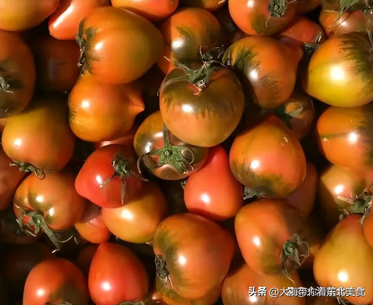 园艺新宠揭秘常见100种优雅的木本花卉