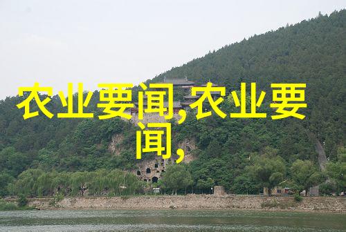 我爱茶品味出茶的秘密它的香它的韵