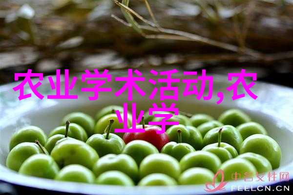 健康生活从一杯茶开始解析十款被广泛推荐的养胃茶