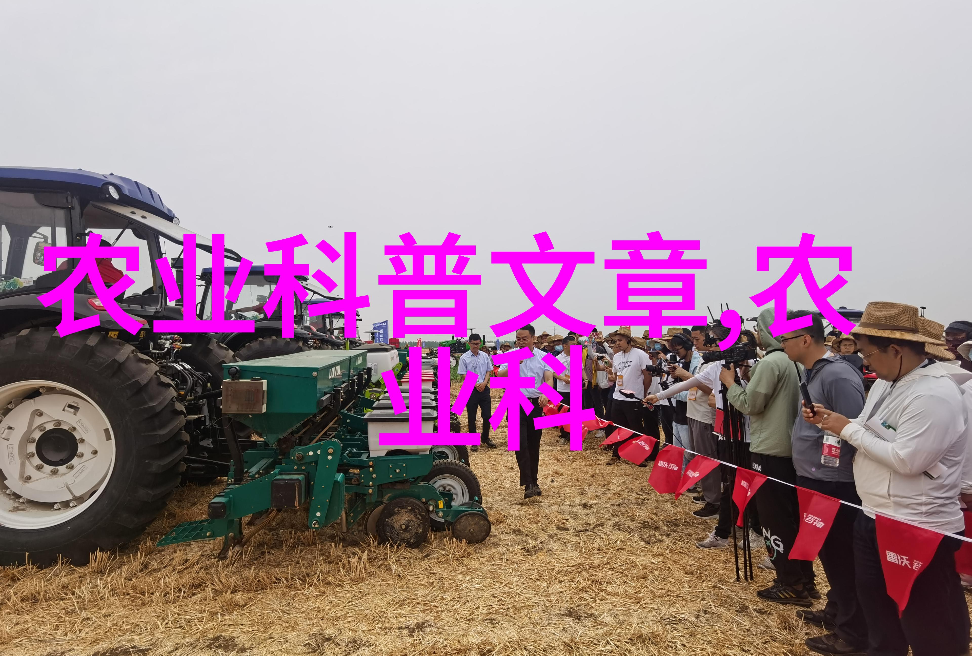 镜头下的野性美如何捕捉到那一瞬间的金线莲写真