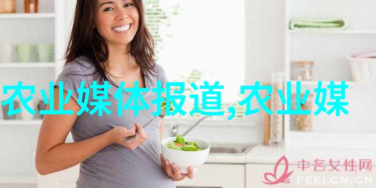 中国工程机械网的官网-重塑行业景观中国工程机械网官网的创新之旅