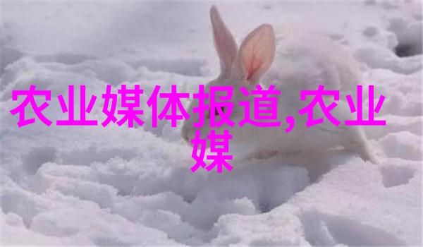 我来告诉你茶的秘密一口气学懂所有