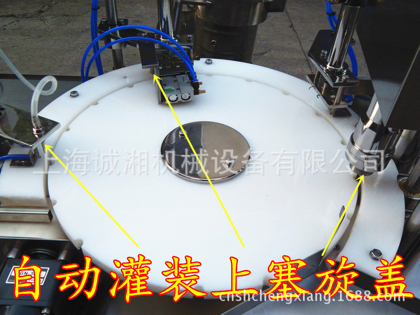 在现代农业中选择哪种作物能够迅速见效并带来丰厚的收益