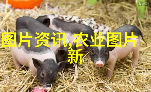 大蒜种植全攻略土壤选择播种技巧与病虫害防治