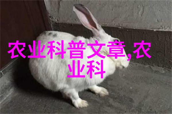 茶的传说与历史揭秘这杯古老时光的起源