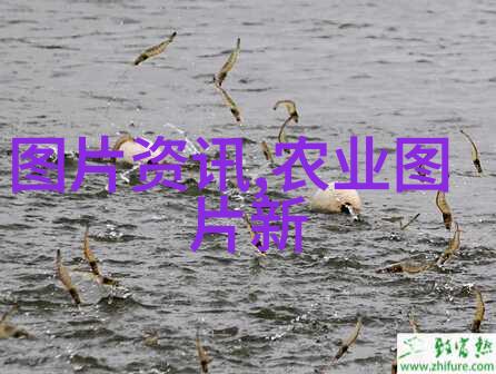 茶叶品种丰富多样绿茶黑茶白茶乌龙茶黄茶