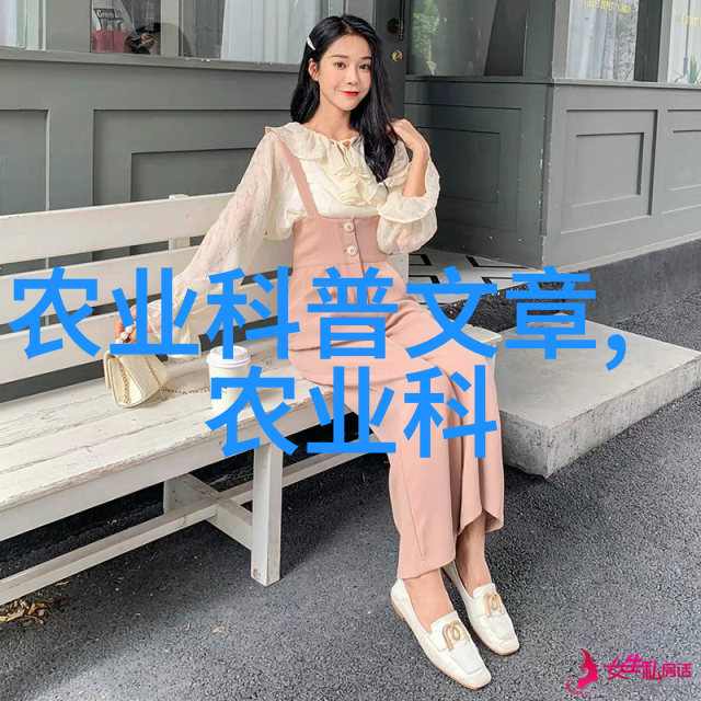 蜂群智慧中蜂养殖的技艺与秘诀