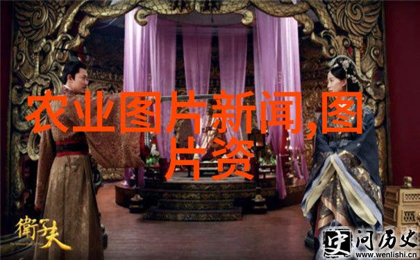家居布局小贴士专家解密卧室摆放植物的误区