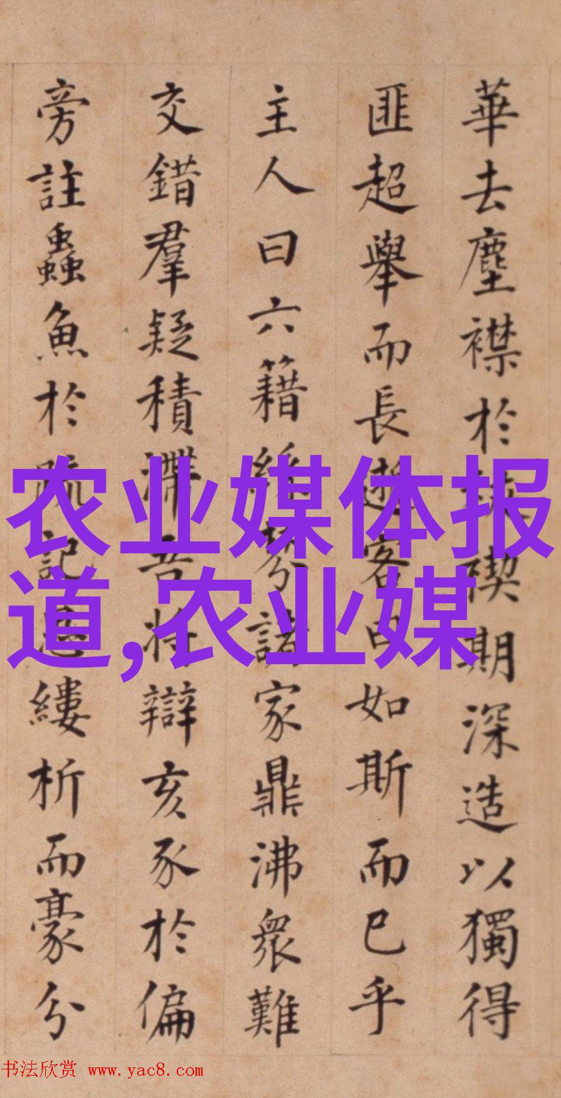 蔬菜超市我在超市里遇见了最便宜的健康