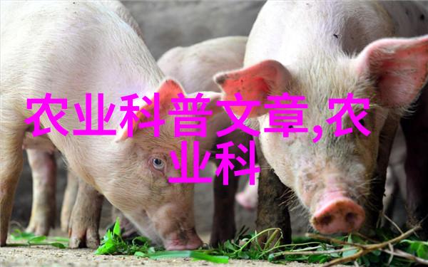 中国茶叶起源于哪里我国的茶文化之源从古老的山林中寻找答案