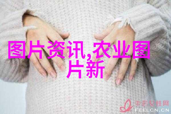疫情防控新十条政策解读-深入浅出揭秘新十条的五大亮点与实际操作指南