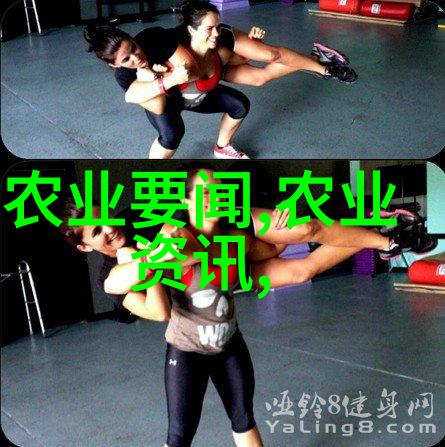 数字媒体新星揭秘最佳大学的科技魅力