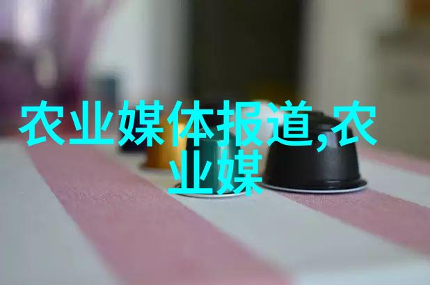 茶叶知识深度探究茶文化种植技巧制作工艺