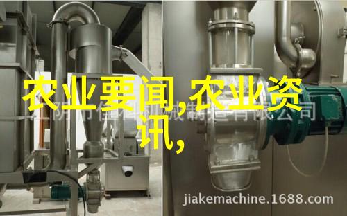 贵阳苗木批发市场里的盆景法桐之谜
