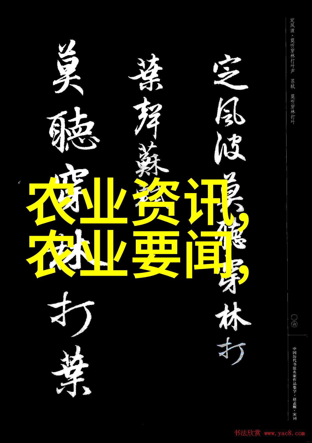 茶叶文化与饮用习俗的演变从古代中国到现代世界