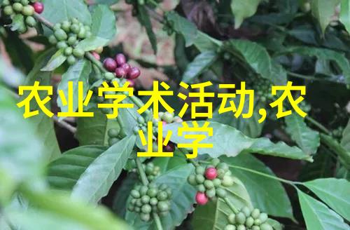 如何有效利用科技提升蜜蜂养殖的效率与可持续性