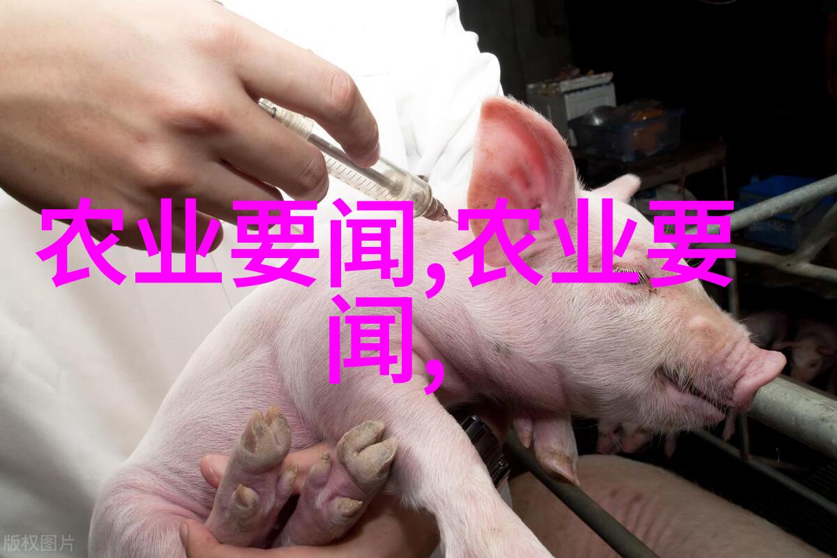 湛卢花镜奇缘探索湛卢世界中的神秘花镜