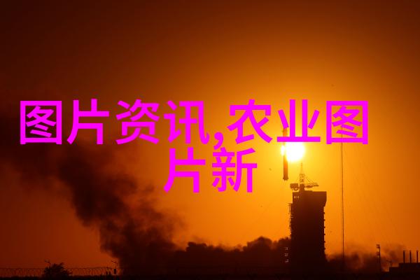 精彩花园探索多样花卉种植的方案