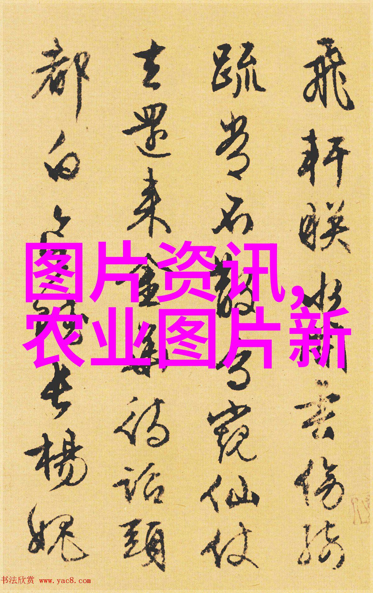 2024年中药材新贵哪些品种将迎风暴涨
