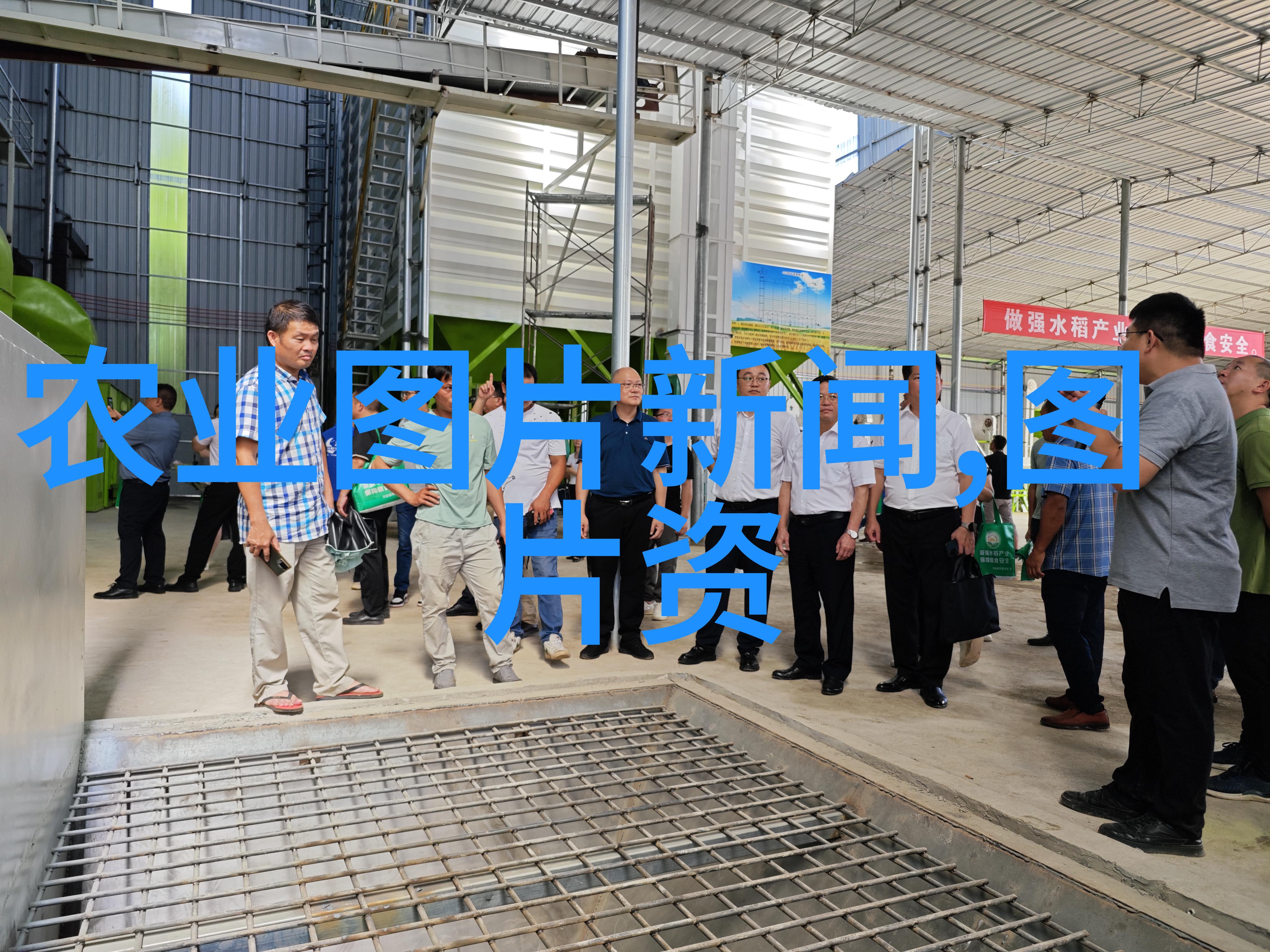 草药百科全书深度探索3000种草药的秘密