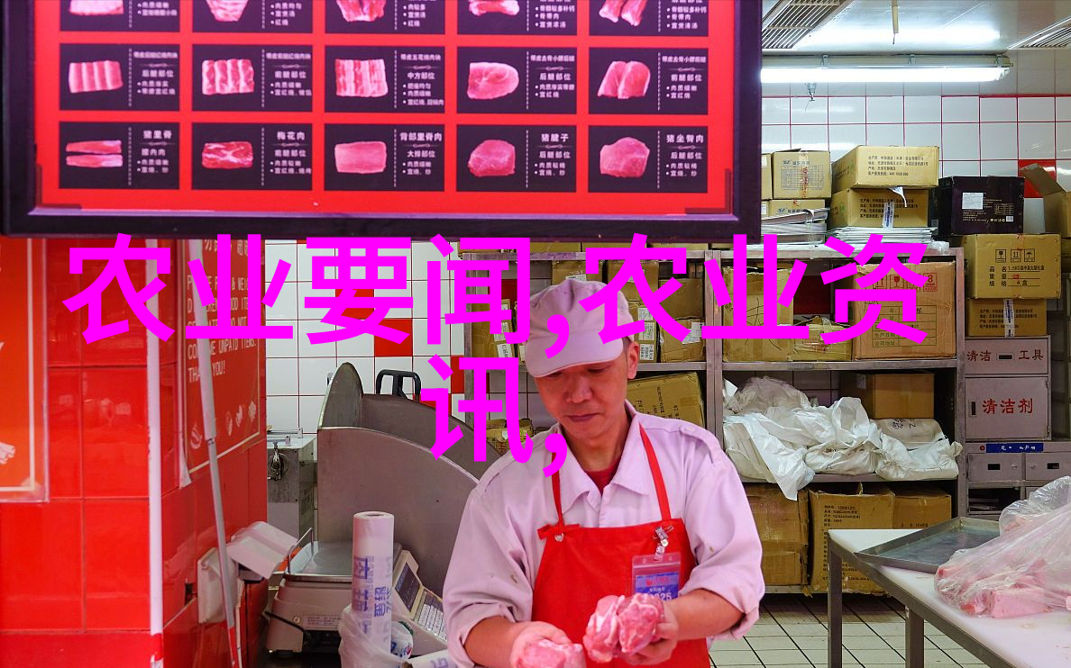 七十岁的智慧BGMBGMBGM老太太的传奇人生故事