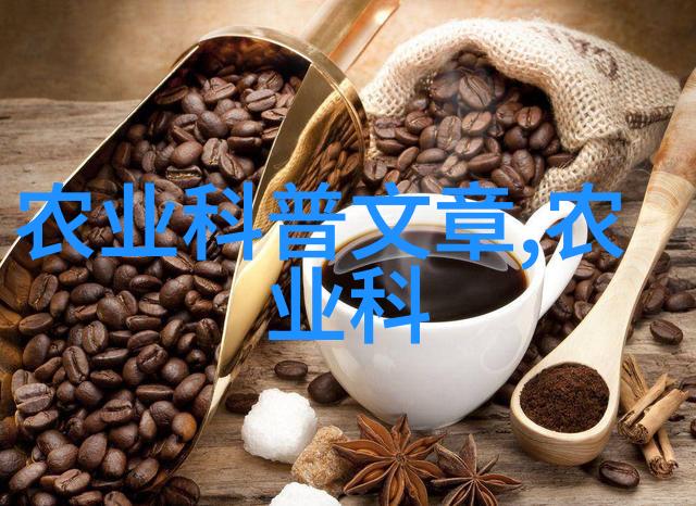 家庭园艺项目DIY花架创意设计