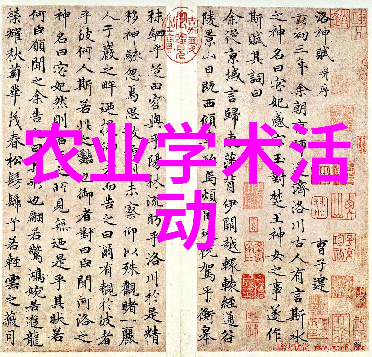 花生施肥 莫忘中微量元素