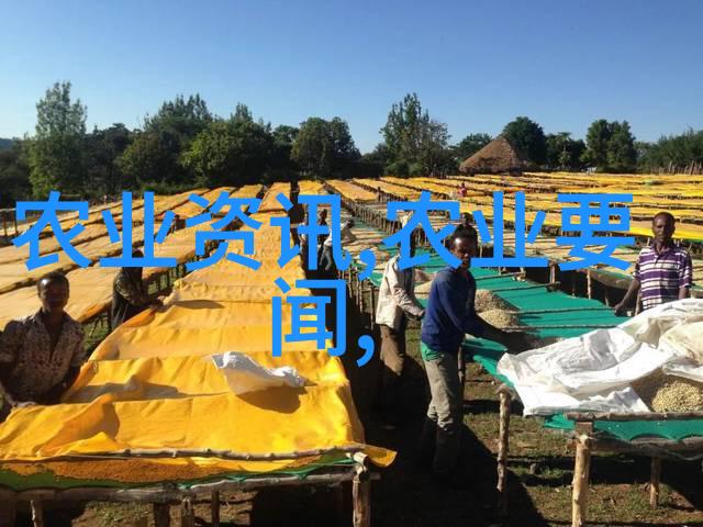 解密蜜蜂窝的秘密掌握最快找寻技巧