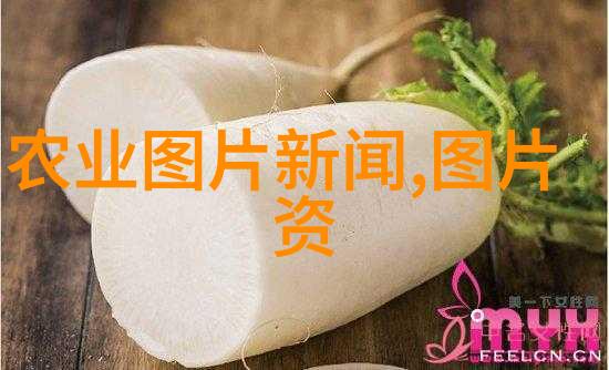 2022新版民法典完整版我来解密这部法律大戏