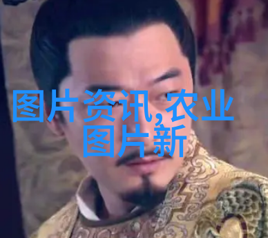 羊毛之梦草原上的二十万金路子