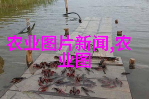 蔬菜种植技术网绿茵梦想的数字化播种