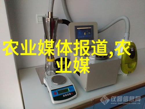 水果园的初学者选择易种植的佳果