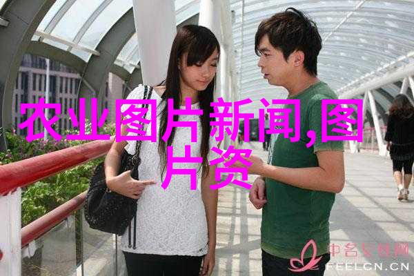 金线莲种植加盟绿色健康生活的选择