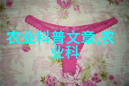土鸡和肉鸡的区别2023年哪种更适合商业化养殖